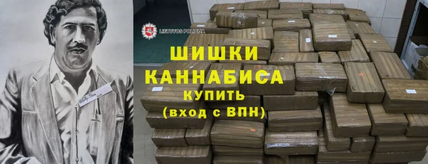 индика Покачи