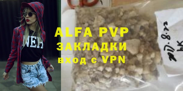 индика Покачи