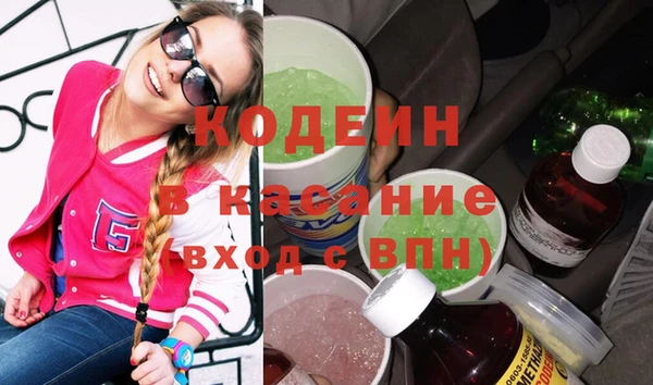 индика Покачи