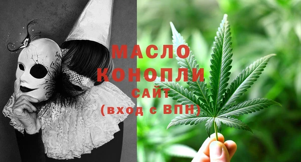 индика Покачи
