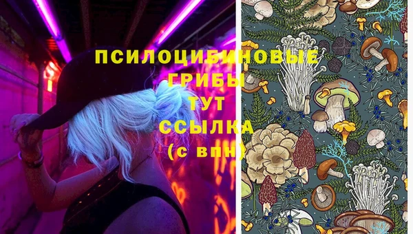индика Покачи