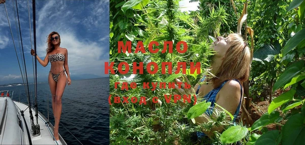 индика Покачи
