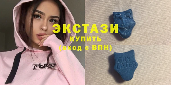 индика Покачи