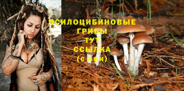 индика Покачи