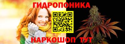 индика Азнакаево