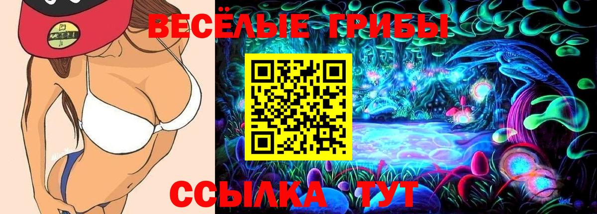 Псилоцибиновые грибы мухоморы  Вход с VPN  даркнет сайт  Асбест 