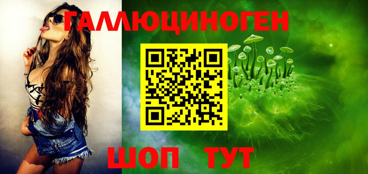 Галлюциногенные грибы Psilocybine cubensis Асбест